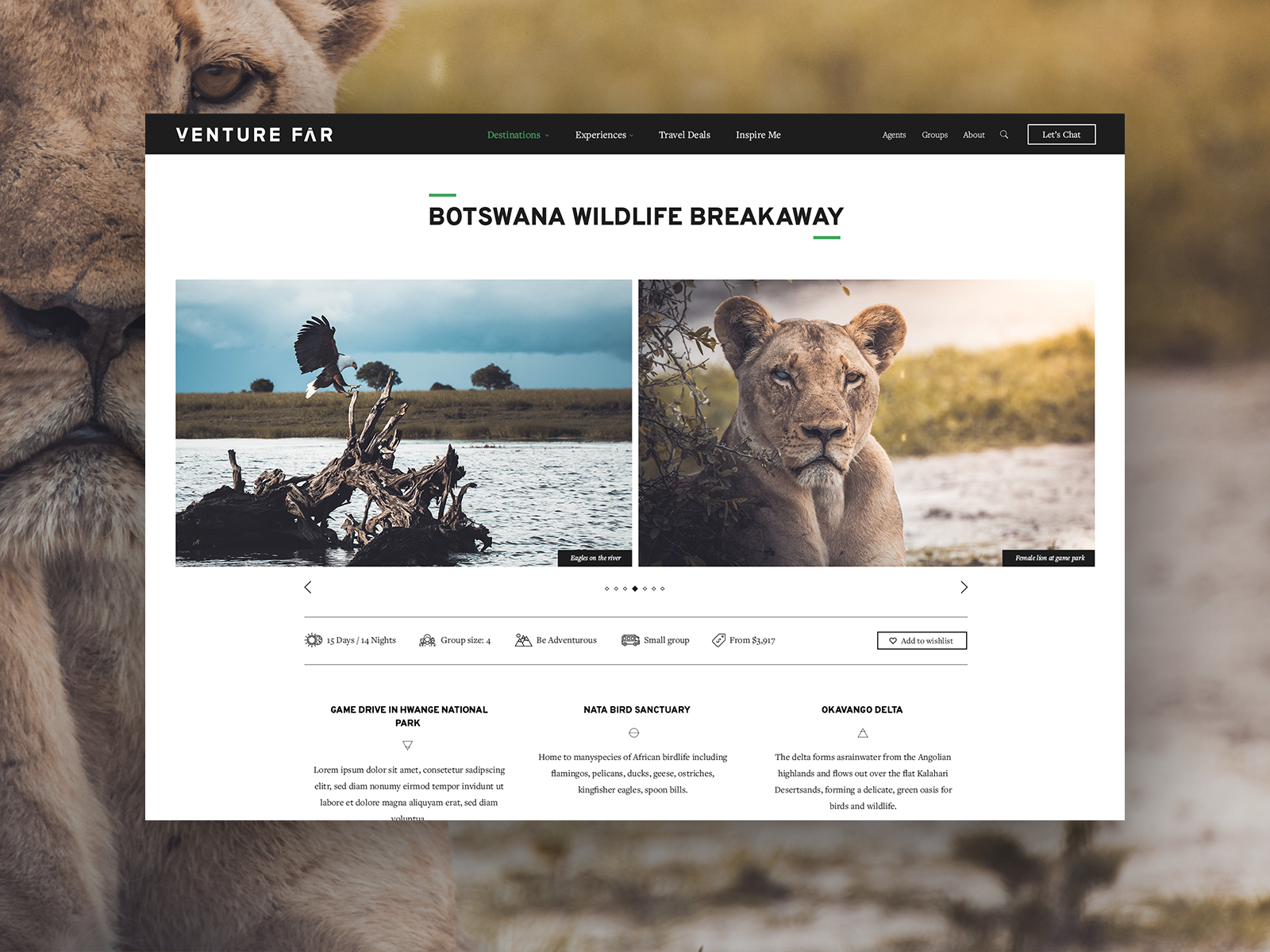 Venture Far — lion feature, desktop